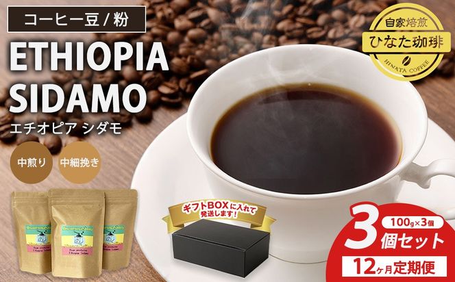 【12カ月定期便】コーヒー 豆 粉（エチオピア シダモ 中煎り 中細挽き）100g × 3個セット | ミディアムロースト ギフトBOX付き コーヒー 珈琲 自家焙煎 ひなた珈琲 幸田町 送料無料