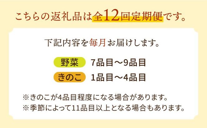 【毎月コース】旬の野菜・キノコ 詰め合わせ 10品目以上 12回 定期便 季節 旬 セット 春 夏 秋 冬 定期 毎月 新鮮 / 南島原市 / 吉岡青果 [SCZ007]