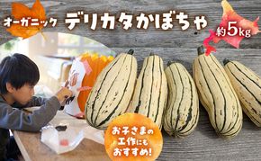 【2026年発送】 オーガニック かぼちゃ デリカタ BOX 約5kg 有機栽培 南瓜 カボチャ 北海道 倶知安 ニセコグリーンファーム