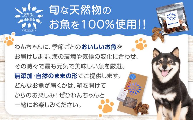 お魚だよ全員集合　季節のアソートセット 3,000円セット　ワンちゃん用｜ペット おやつ 犬 ペットフード 141305_KY01