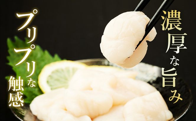 欠けがあるため訳あり 北海道 オホーツク海産 ホタテ 貝柱 Cフレーク 1kg 帆立 ほたて 刺身 玉冷 海鮮 魚介 冷凍 国産 サロマ湖 魚介類