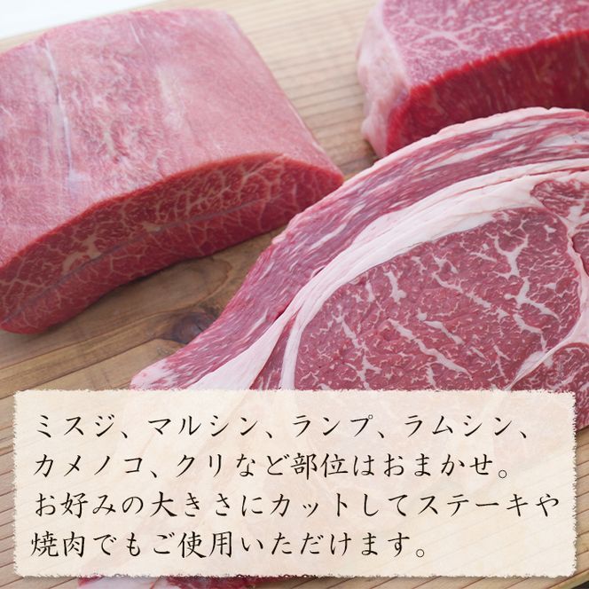 淡路牛 希少部位ブロック 約500g　ブロック