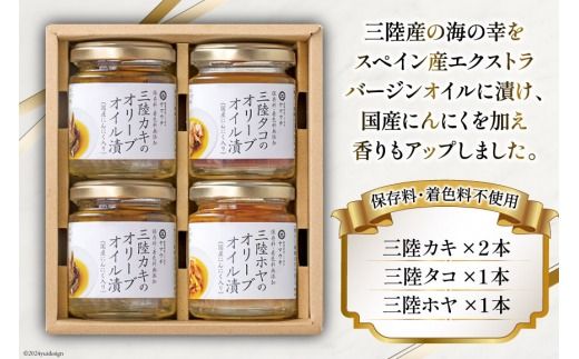 オテロイ　実生　鋸刺強　３株セット DP42 アガベ・オテロイ実生選抜 鋸歯強 Agave Oteri seeding - メルカリ