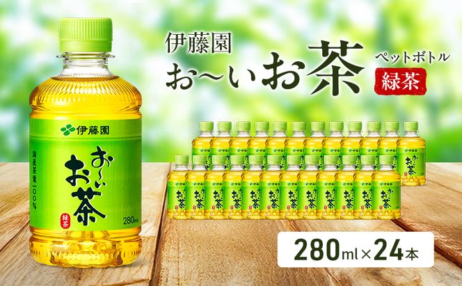 お～いお茶 緑茶 ペット 280ml×24本 お茶 ペットボトル 飲み物 飲料 国産茶葉 伊藤園 静岡県 袋井市