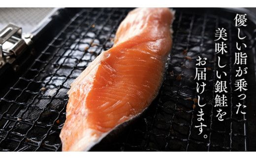 厚切り 銀鮭 の 切り身 【 半尾 】約 1kg （ 8切 ～ 10切 ） 鮭 切身 半身 厳選 甘塩 さけ サケ しゃけ シャケ 冷凍 真空 時短 弁当 おつまみ 魚 魚介 [CL003us]
