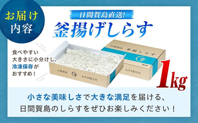 日間賀島 釜揚げ しらす 1kg 天然 塩 愛知県 南知多町 冷凍 ご飯 ごはん パスタ サラダ ピザ 丼 料理 国産 パーティー 魚 さかな シラス ミネラル 人気 おすすめ