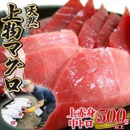 天然 マグロ 2種 500g 以上 刺身 上物 まぐろ 鮪 赤身 中トロ 冷凍 静岡県 藤枝市