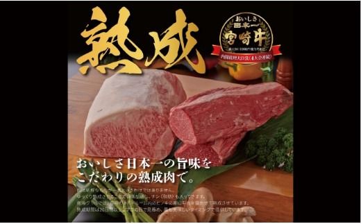 【運用開始記念！】熟成宮崎牛A5等級サーロインステーキセット 500g オリジナルソース付き（牛肉 お肉 ブランド牛 黒毛和牛 ステーキ サーロイン）