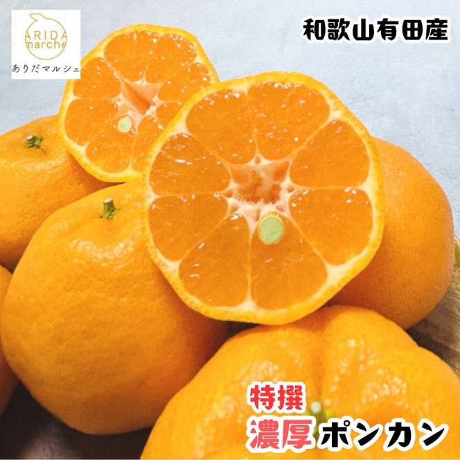 極甘 柑橘 特撰 濃厚 ポンカン 3kg+200g(傷み補償分)