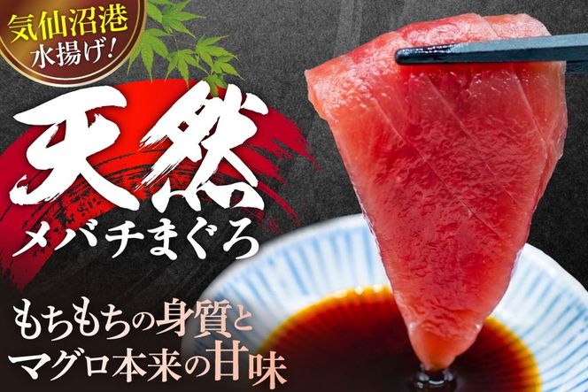 マグロ 天然 メバチマグロ 切落し 100g×10袋 計1kg 気仙沼水揚げ [熊栄産業 宮城県 気仙沼市 20564427] まぐろ マグロ 鮪 魚 海鮮 魚介類 魚介 切り落とし メバチ 小分け 冷凍 便利 刺身 ネギトロ【CF02】