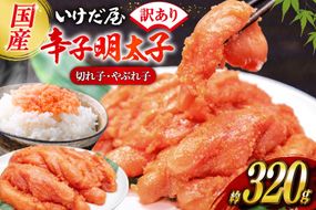 いけだ屋特製 ご家庭用 からし明太子 （切れ子・やぶれ子）1箱  [いけだ屋 福岡県 筑紫野市 5001] 辛子明太子 明太 めんたいこ めんたい 家庭用 冷凍 切子 きれこ 福岡