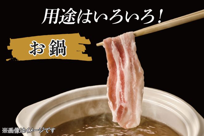 「美明豚」ロース 薄切り 1.1kg ( 茨城県共通返礼品・行方市産 ) ブランド豚 銘柄豚 美明豚 豚 豚肉 肉 豚ロース 薄切 茨城 茨城県産 国産 冷凍 焼肉 BBQ