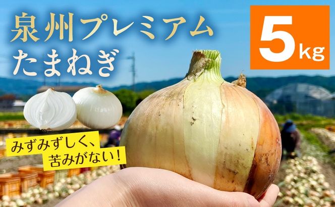 G3689-1 【8/20 受付終了】プレミアムたまねぎ 5kg【泉州 玉ねぎ タマネギ 玉葱 甘い 野菜 国産 オニオン サラダ カレー バーベキュー】