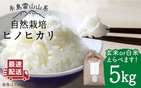 [新米予約受付中]＼令和6年産/自然栽培 ヒノヒカリ 5kg [糸島][大石ファーム] 