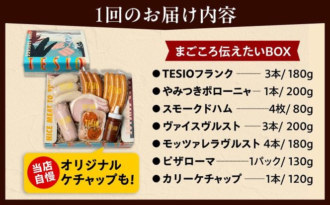 【全12回定期便】TESIOの自家製ハム＆ソーセージ 『まごころ伝えたいBOX』 豚肉 ハム ソーセージ 小分け 真空パック 沖縄市 / TESIO[BCAD015]