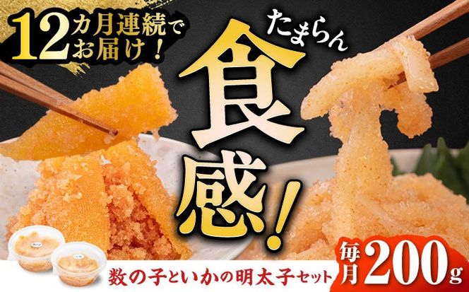 【全12回定期便】数の子明太子&いか明太子セット（各100g）【博多徳永とくとく珍味】《築上町》【株式会社マル五】[ABCJ068]