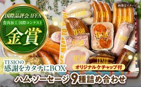 TESIOの自家製ハム＆ソーセージ 『感謝をカタチにBOX』 豚肉 ハム ソーセージ 小分け 真空パック 沖縄市 / TESIO[BCAD004]