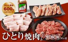  宮崎県産焼肉３種セット【タレ付き】（牛・豚・鶏） 計６００ｇ  カット済み  K16_0079_1