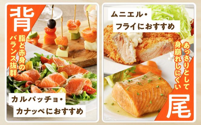 099Z345 サーモン 定期便 1kg×全2回【ポーション 訳あり サイズ不揃い 刺身 海鮮丼 さーもん サラダ カルパッチョ 鮭 さけ シャケ しゃけ 人気 小分け 冷凍 家計応援】