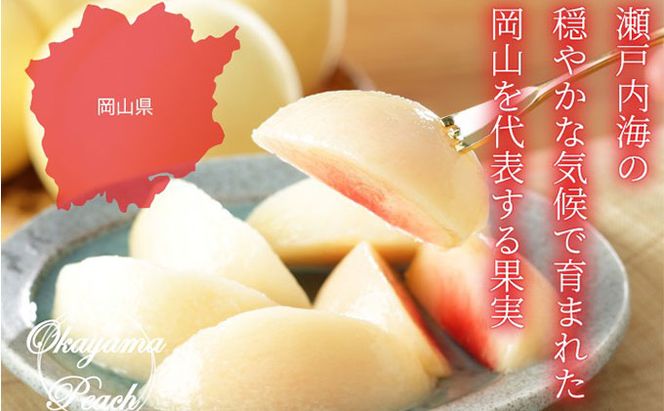 桃 2026年 先行予約 岡山 白桃 ロイヤル 4～8玉 約1.5kg JA おかやま のもも（早生種・中生種） もも モモ 岡山県産 国産 フルーツ 果物 ギフト 甘い 美味しい 産地直送 贈り物 高糖度 