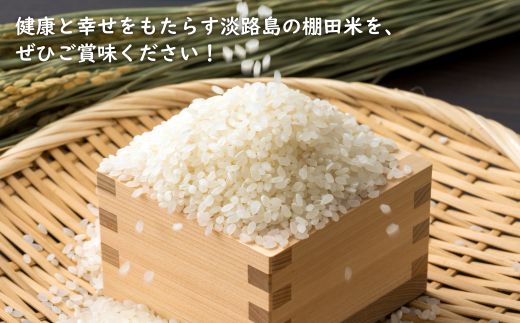 健幸農園の棚田米 10kg 【2025年産】 精米 白米 農家直送
