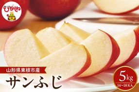 【2026年産】太陽の恵みをいっぱいに浴びたりんご「サンふじ」 約5kg (14～18玉入) 山形県 東根市　hi026-062