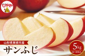 【2026年産】太陽の恵みをいっぱいに浴びたりんご「サンふじ」 約5kg (14～18玉入) 山形県 東根市　hi026-062