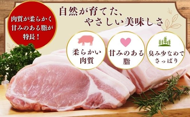 放牧豚ロース ステーキ・カツ用 600g以上（約150g×4枚）