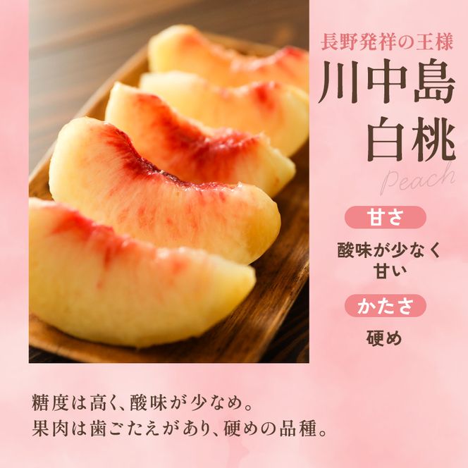 【オンライン決済限定】【2026年8月中旬～発送予定】 先行予約 「浅間水蜜桃プレミアム」 もも 川中島白桃 秀品 約2kg 5～9玉 贈答品 ふるさと納税 果物 フルーツ モモ 果肉 デザート 酸味少なめ 硬め 長野県産 小諸市