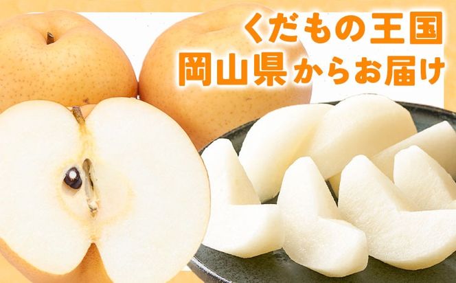 【2026年先行予約】あたご梨 選べる内容量 約1.7kg (2玉) 約4kg (3-6玉) 化粧箱入り 株式会社山博《11月下旬-12月下旬頃出荷》岡山県 笠岡市 なし 梨 ナシ 愛宕梨 果物 大玉 岡山県産 国産 送料無料【配送不可地域あり】---Y-37a---