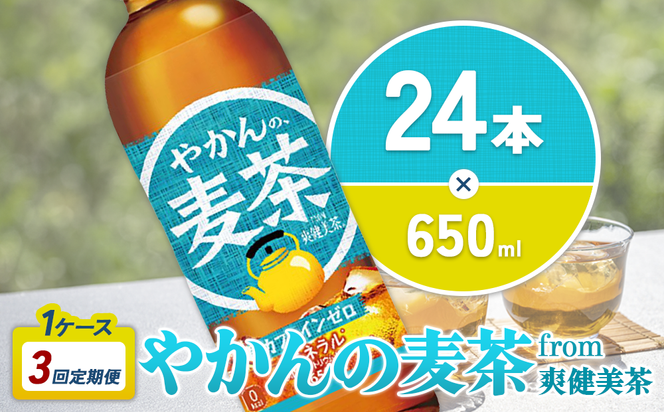 【3回定期便】やかんの麦茶 from 爽健美茶 PET 650ml 24本×3回 合計72本 3ヶ月【コカコーラ】 日本茶 お茶 麦茶 ペットボトル カフェインゼロ 常温 常温 送料無料 こども 美容 むくみ