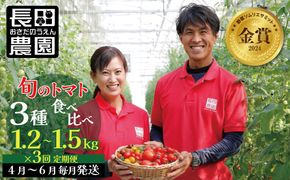 【個数限定】おすすめトマト3種 食べ比べ 1.2～1.5㎏ 3回定期便　長田農園しかできない夢の共演 野菜ソムリエサミット 金賞 受賞 長田農園 産地直送 トマト とまと 野菜 やさい フルーツ サラダ 濃厚 甘い ご褒美 プレゼント 美容 健康 リピート多数 人気 高評価 数量限定 碧南市 H004-138