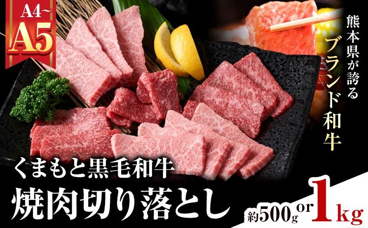 [A4〜A5]くまもと黒毛和牛 焼肉切り落とし 選べる 内容量 約500g(500g×1p) 約1kg(500g×2p)[30日以内に出荷予定(土日祝除く)]熊本県 大津町 黒毛和牛 肉 お肉 和牛 牛 牛肉 A5 A4 焼肉 切り落とし MEAT PLUS---so_fmpkkyk_30d_25_13000_500g---