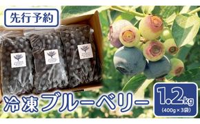《 先行予約 》 冷凍 ブルーベリー 400g×3袋 【2026年7月上旬頃より発送開始】 冷凍 大粒 フルーツ 果物 くだもの おやつ 無農薬 農薬不使用 お取り寄せ 贈り物 ジャム スムージー [BK003us]