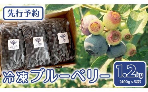 《 先行予約 》 冷凍 ブルーベリー 400g×3袋 【2026年7月上旬頃より発送開始】 冷凍 大粒 フルーツ 果物 くだもの おやつ 無農薬 農薬不使用 お取り寄せ 贈り物 ジャム スムージー [BK003us]