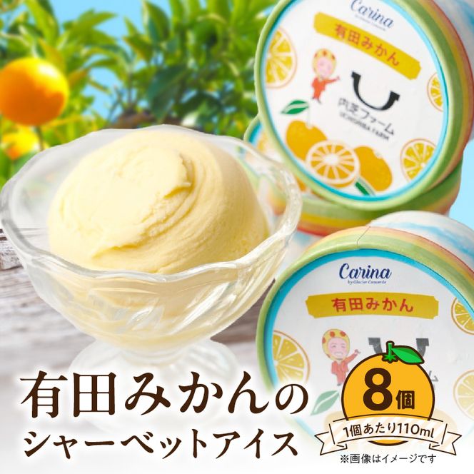 ZE6513_有田みかんシャーベットアイス　　8個入り