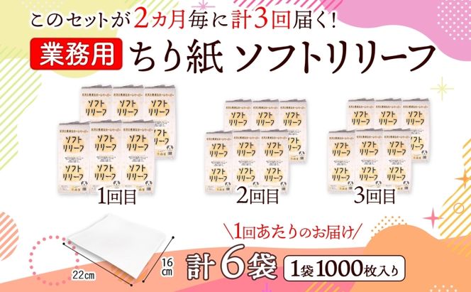 定期便 2ヶ月毎3回お届け ちり紙 リリーフ 1000枚×6袋 紙 無香料 ティッシュペーパー 落とし紙 ペーパー 紙 紙製品 日用品 消耗品 紙製品 ストック 備蓄 生活必需品 エコ まとめ買い トイレに流せる 介護 川一製紙 送料無料 岐阜県 美濃市