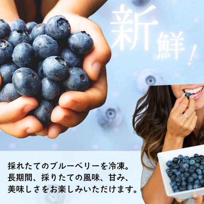 ブルーベリー【冷凍ブルーベリー（Mサイズ）１kg　贈答品】冷凍 完熟 果物 トッピング ヨーグルト 信州 長野