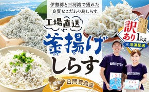 訳あり 釜揚げ しらす 1kg 減塩 日間賀島 冷凍 丸豊 愛知県 南知多町 離乳食 魚 さかな ご飯 ごはん 国産 シラス ピザ サラダ おにぎり 弁当 人気 おすすめ