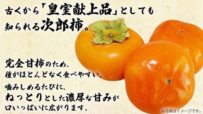 次郎柿 3kg 【2026年9月上旬発送開始】(茨城県共通返礼品：大子町) 柿 かき カキ 次郎柿 完全甘柿 秋の味覚 果物 フルーツ 旬