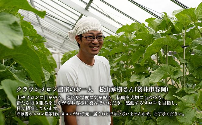 クラウンメロン【上（山等級）】特大玉（1.5kg前後）2玉入り 人気 厳選 ギフト 贈り物 デザート グルメ 果物 袋井市 果物類 メロン青肉 フルーツ