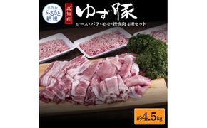 【CF-R7hbk】NIN005　なはりゆず豚セット 4.5kg - 豚バラ ロース モモ 挽き肉 ひき肉 豚 豚肉 国産 詰め合わせ セット 冷凍 料理 おうちごはん 個包装 41000円 高知県産 高知