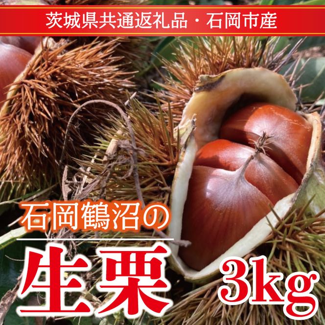 【先行予約】【2026年9月中旬より順次発送】石岡鶴沼の生栗 3kg（茨城県共通返礼品・石岡市産）｜茨城県 行方市 栗 生栗 秋 旬 無農薬(ER-3-1)