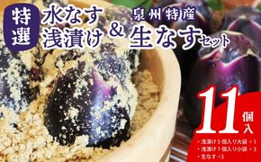 020C571 特選水なす浅漬け＆生なす 11個入り【食べ比べ 新鮮 野菜 泉佐野産 茄子 やさい 高評価 数量限定】