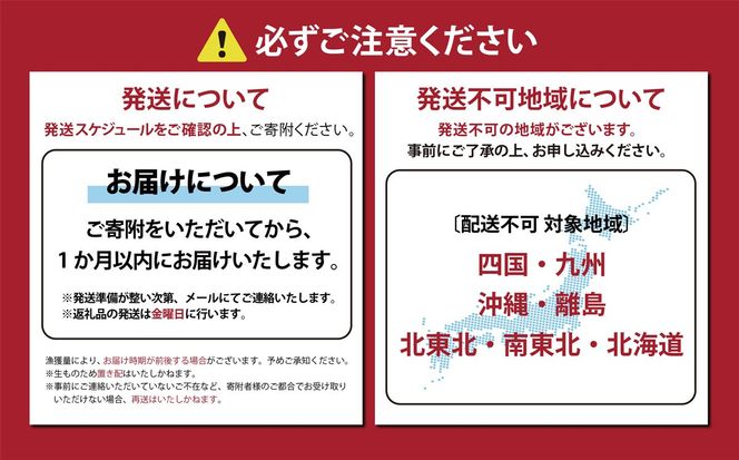 【訳アリ】小山町産 アトランティックサーモン 約1kg（柵）魚体2.0kg未満