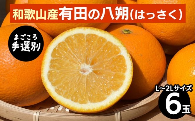 【先行予約】 有田の八朔 （はっさく） 6玉×1箱 L～2L サイズ混合 和歌山県産