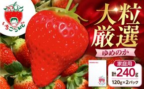 いちご ゆめのか 120g×2パック / 苺 果物 フルーツ 甘い 産地直送 冷蔵 人気 おすすめ 高知 土佐市 家庭用【松本いちごらんど】[BQDQ001] [BQDQ001]