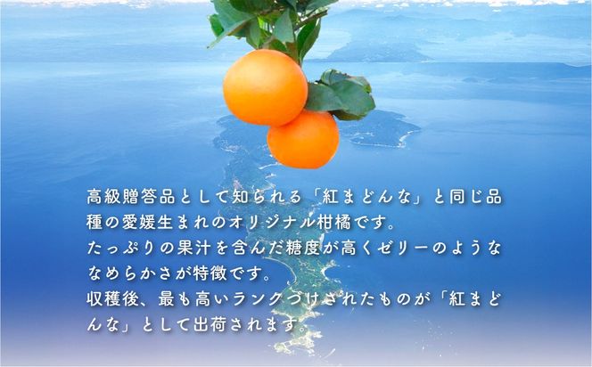 【先行予約】【数量限定】あいか（生果5kg）※離島への配送不可（2025年12月上旬より順次発送予定） IKTBD005