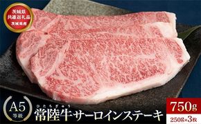 【茨城県共通返礼品】茨城県産 常陸牛A5等級 サーロインステーキ 750g(250g×3枚) あらぎりわさび付