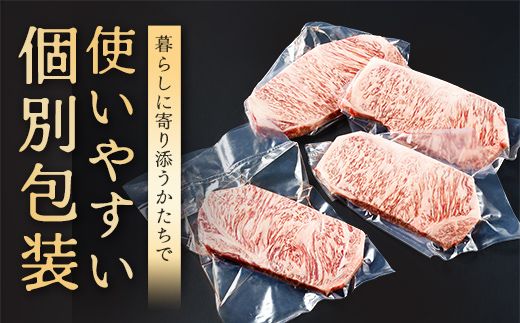 【9月発送分】極上近江牛サーロインステーキ【400g(200g×2枚)】【CB08W-9m】